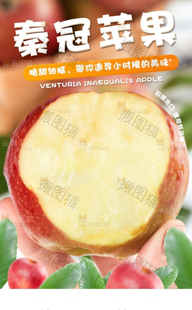 秦冠苹果详情