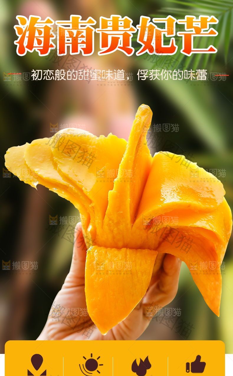 海南贵妃芒详情页