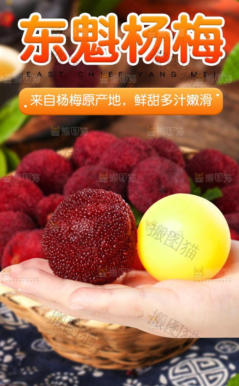 东魁杨梅详情