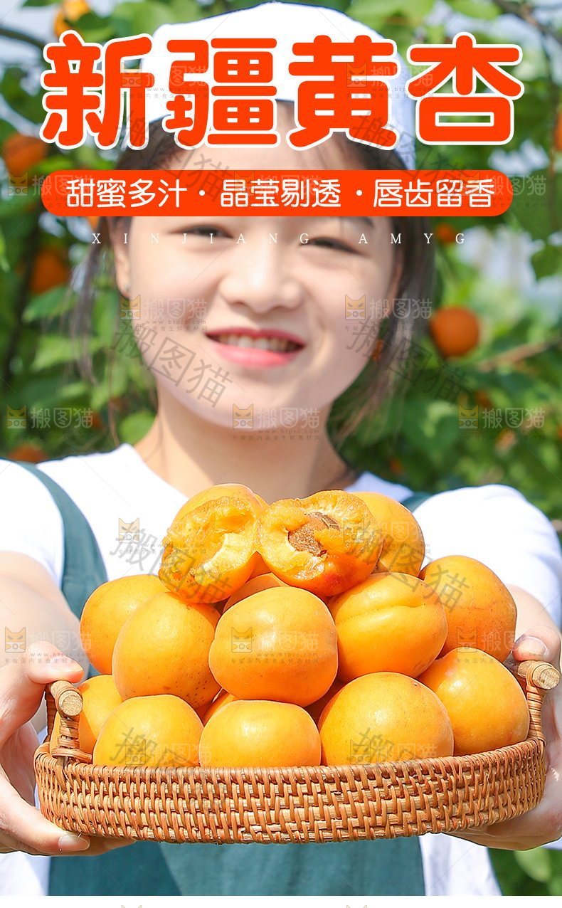 新疆黄杏详情页