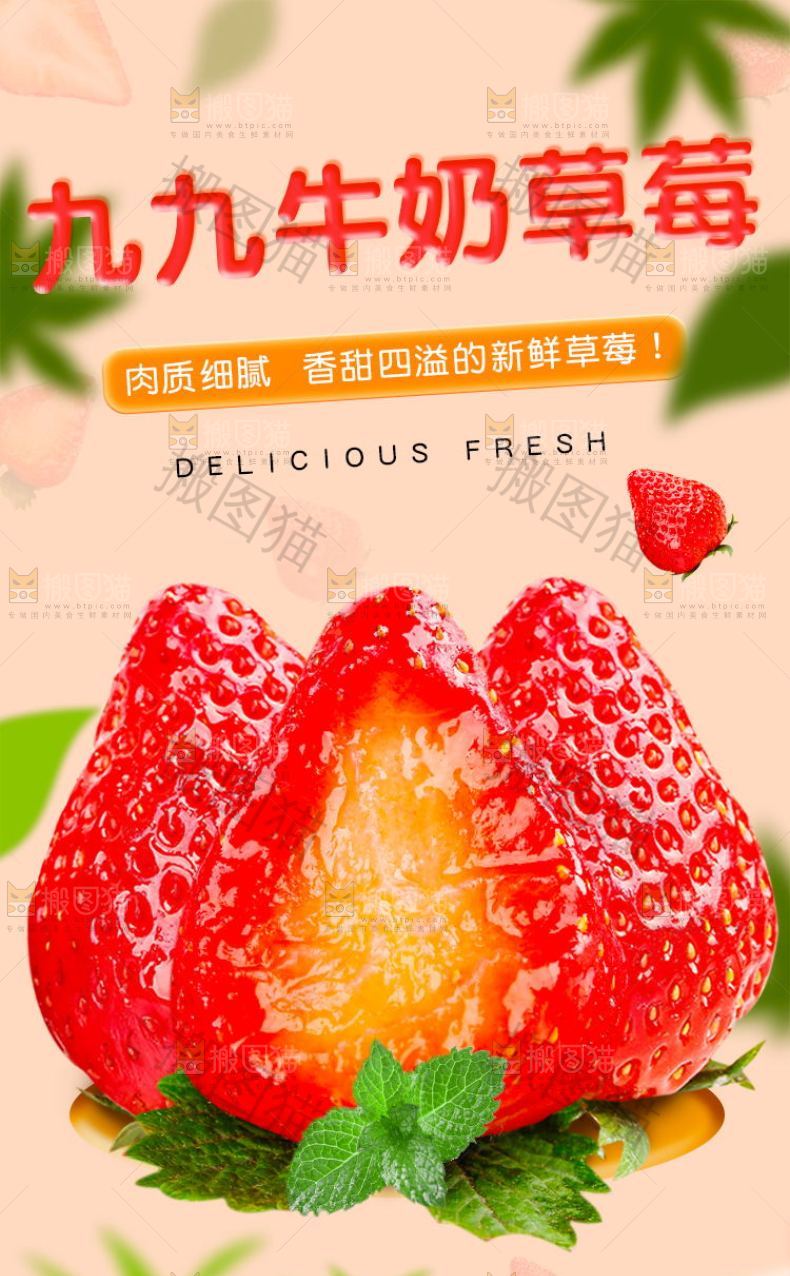 99牛奶草莓详情