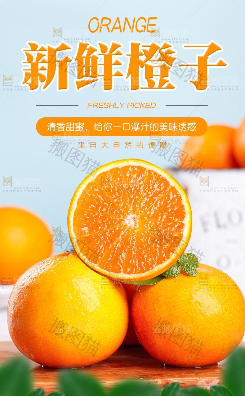 新鲜橙子详情