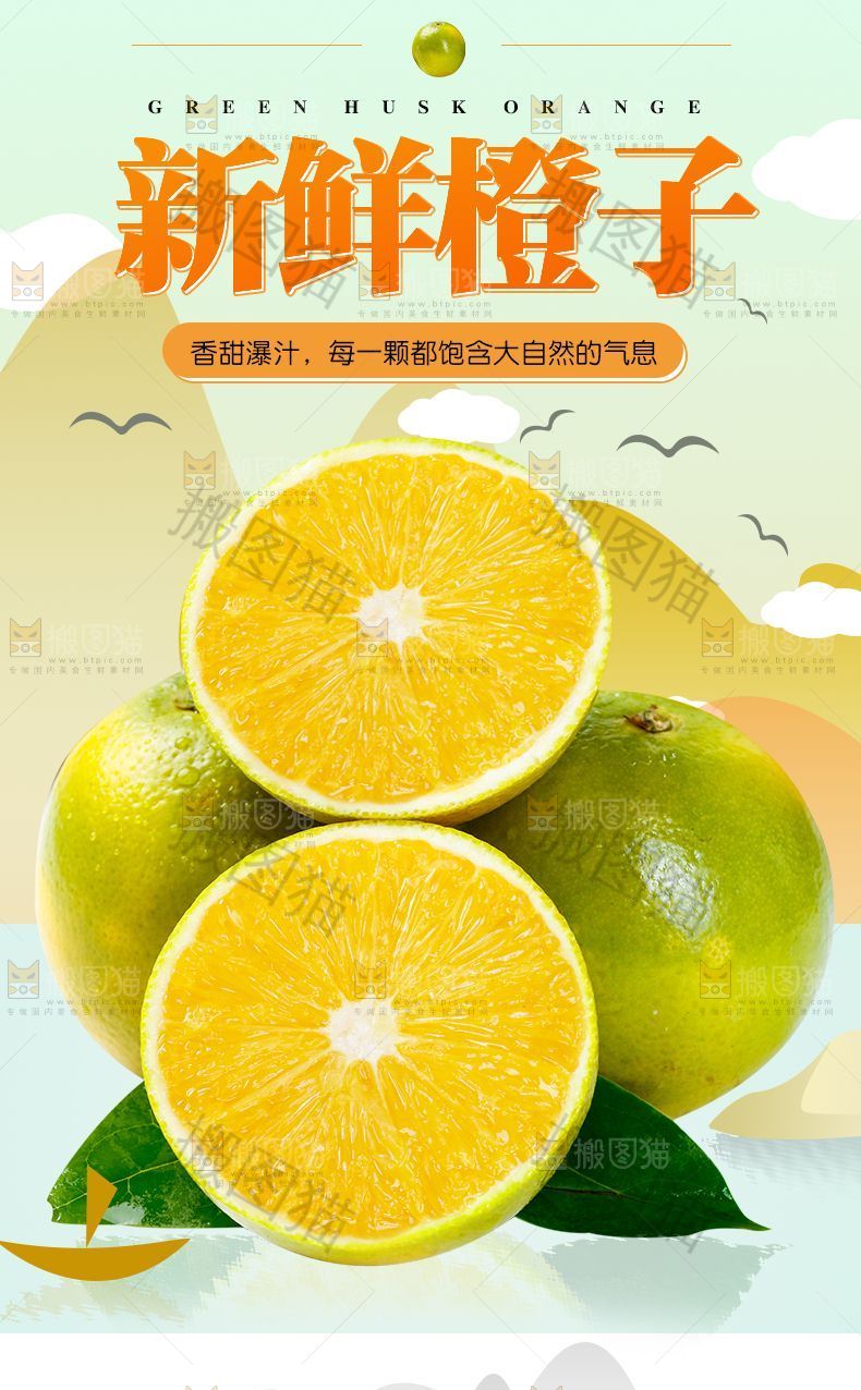新鲜橙子详情
