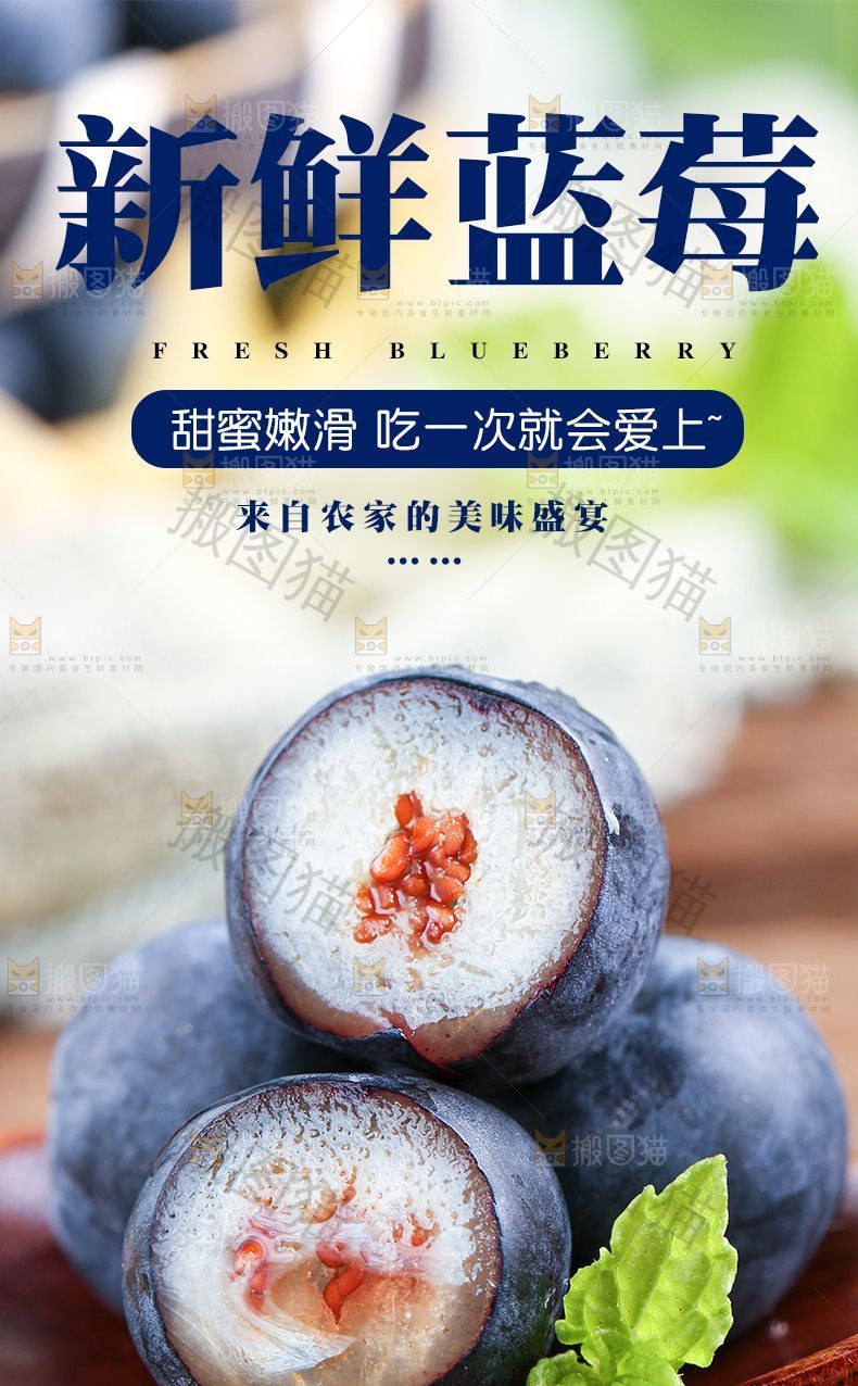 新鲜蓝莓