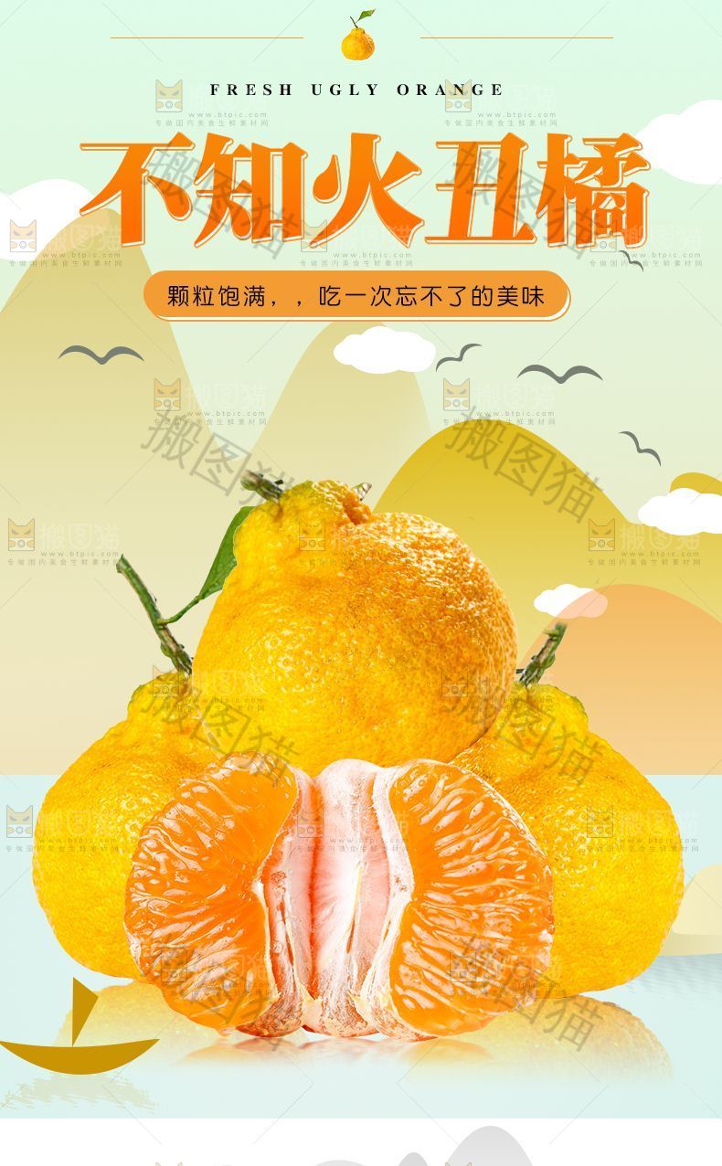 不知火丑橘详情