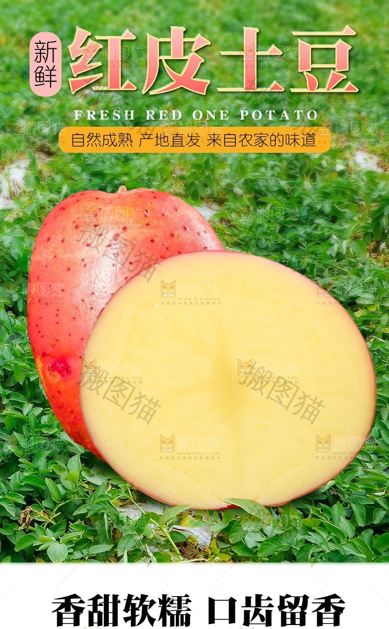 新鲜红皮土豆详情