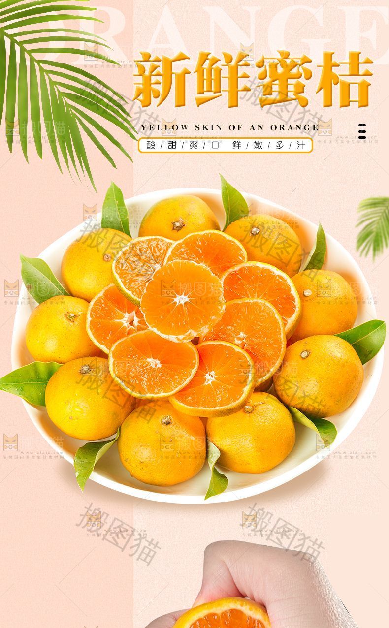 新鲜蜜桔详情