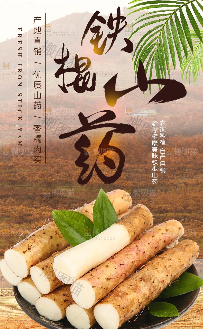 铁棍山药详情页
