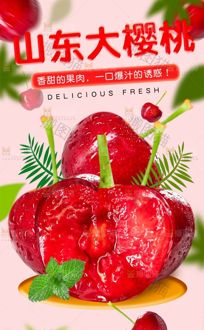 山东大樱桃详情