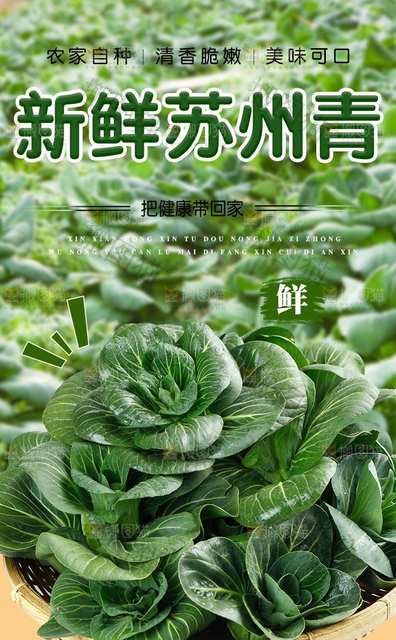 苏州青详情页设计