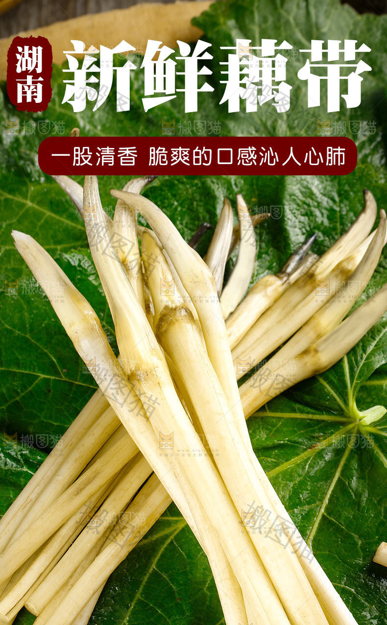新鲜藕带