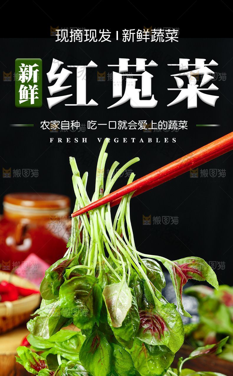 红苋菜详情页设计