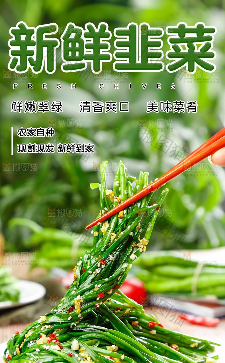 新鲜韭菜详情