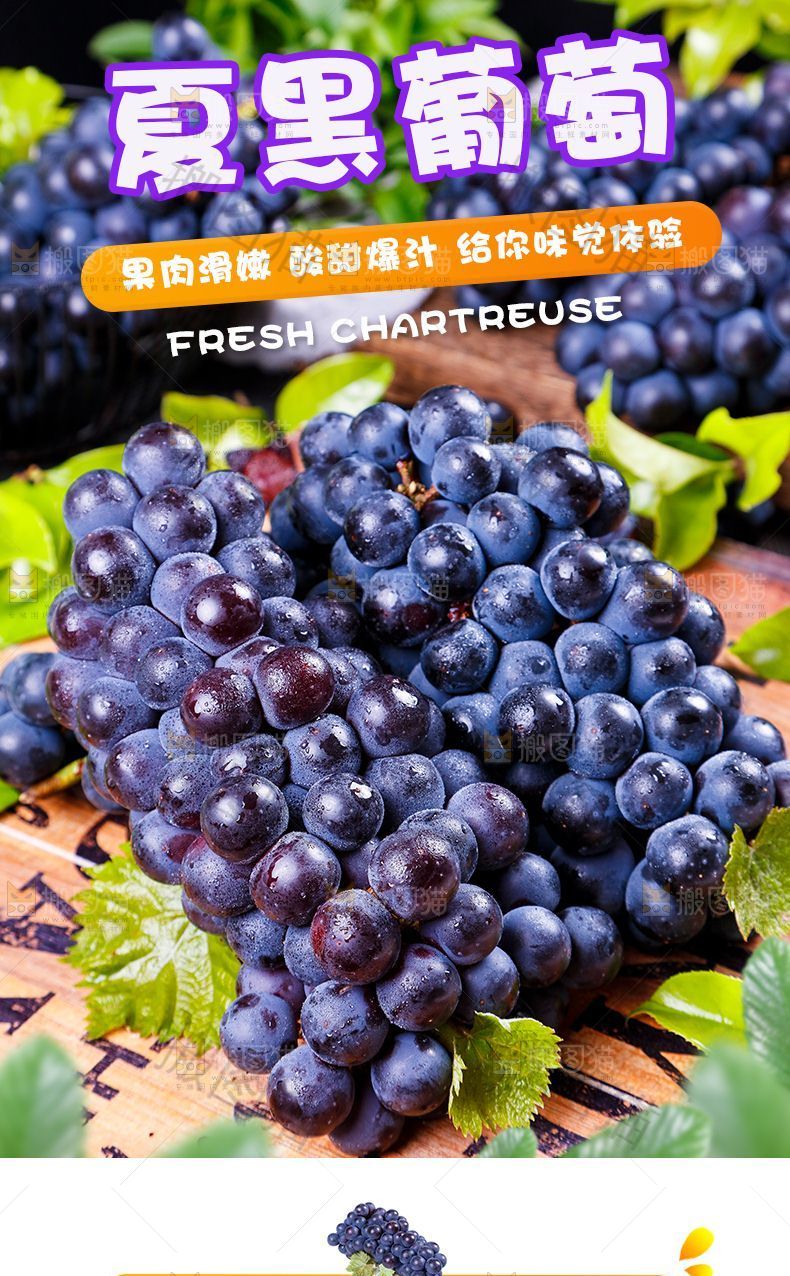 夏黑葡萄详情
