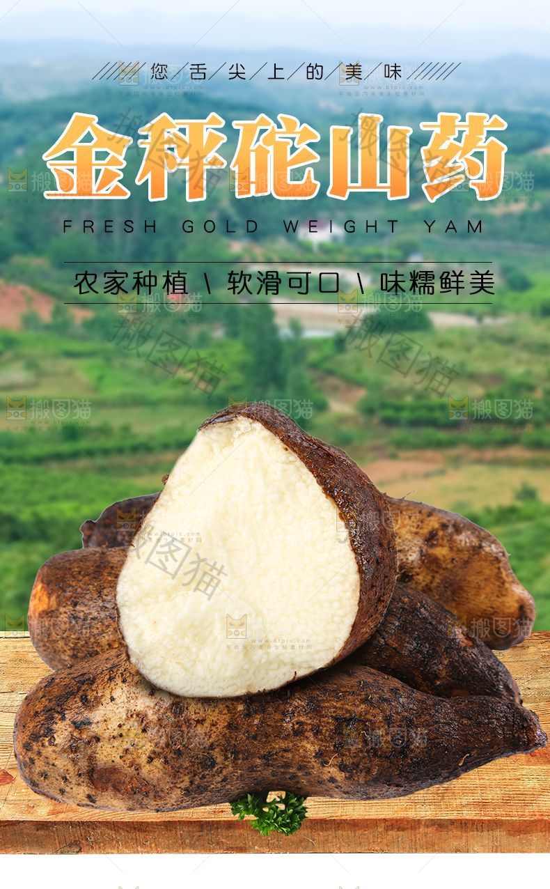 金秤砣山药详情页设计