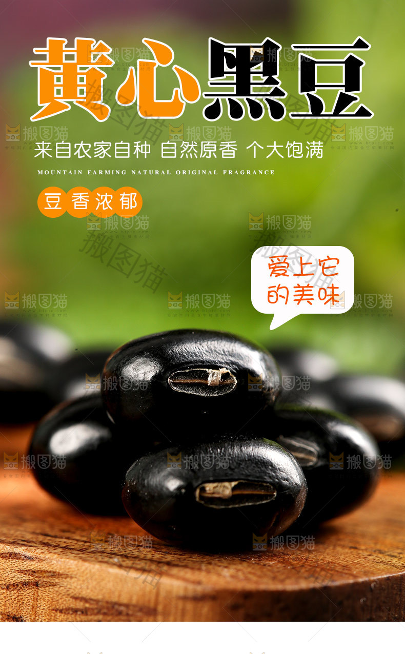 黄心黑豆详情