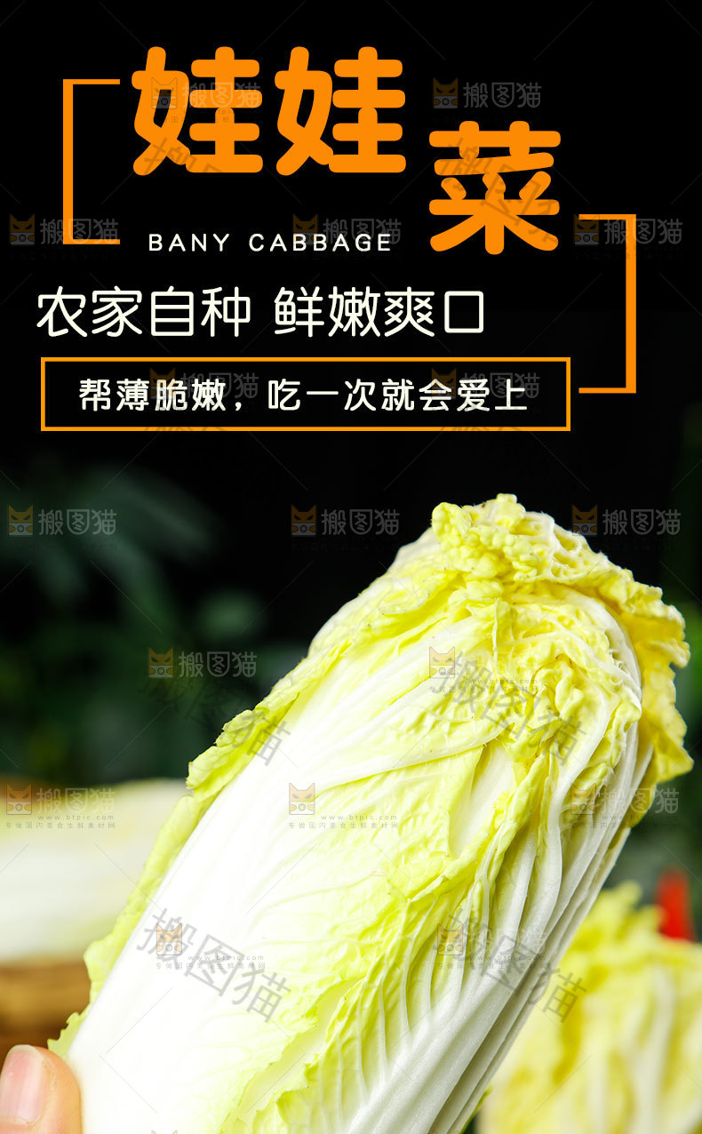 娃娃菜详情页
