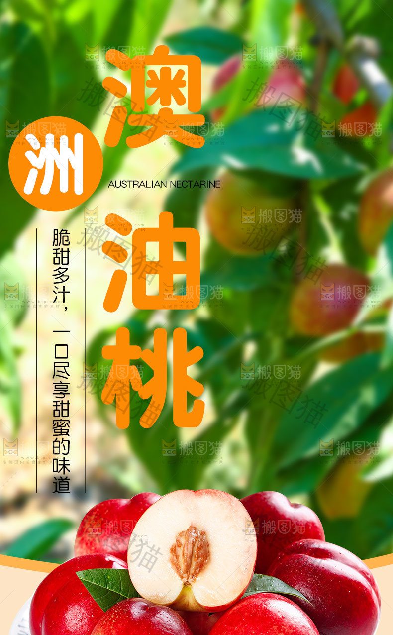 澳洲油桃详情