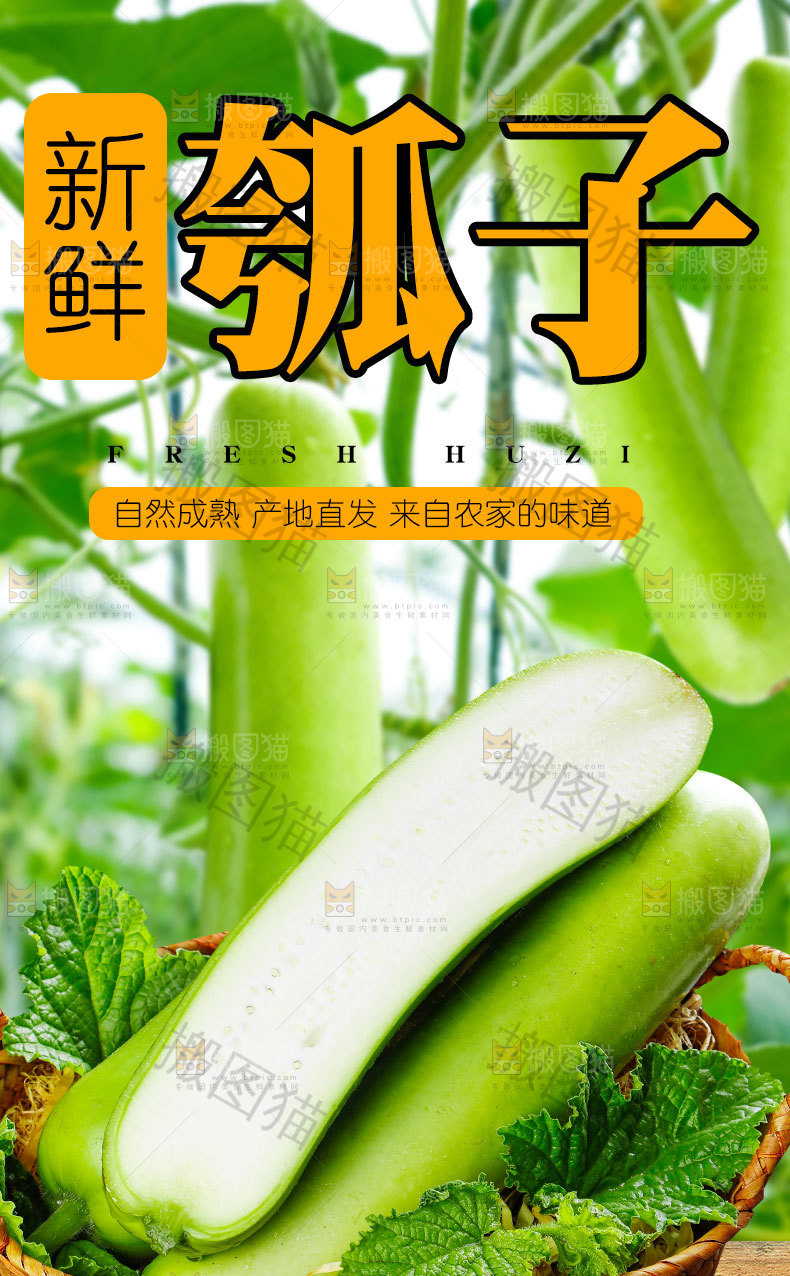 新鲜瓠子