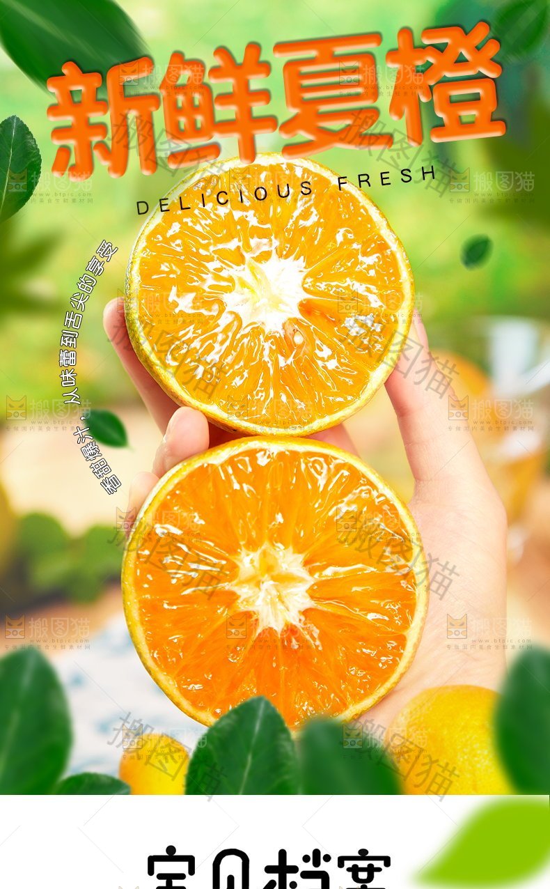 新鲜夏橙