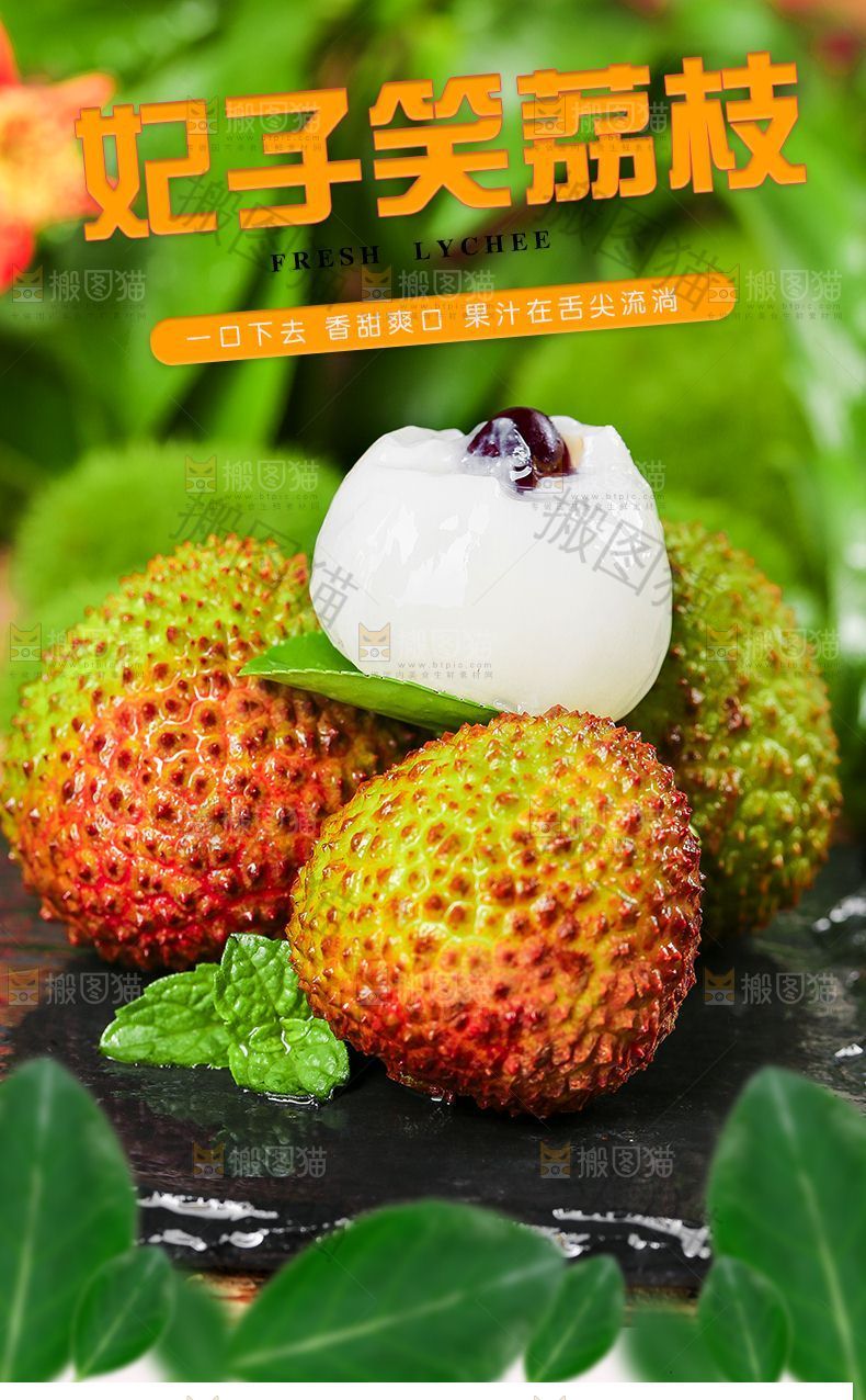 妃子笑荔枝详情