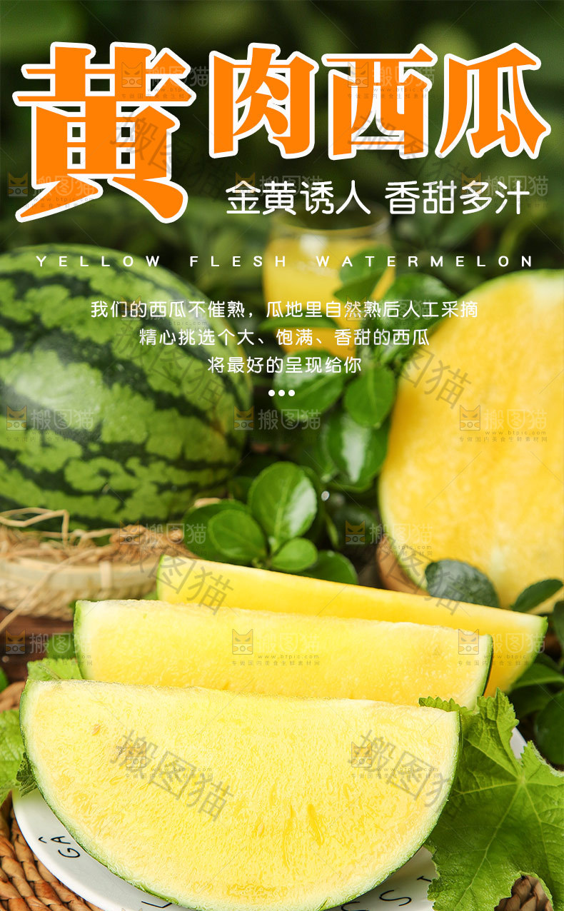 黄肉西瓜详情