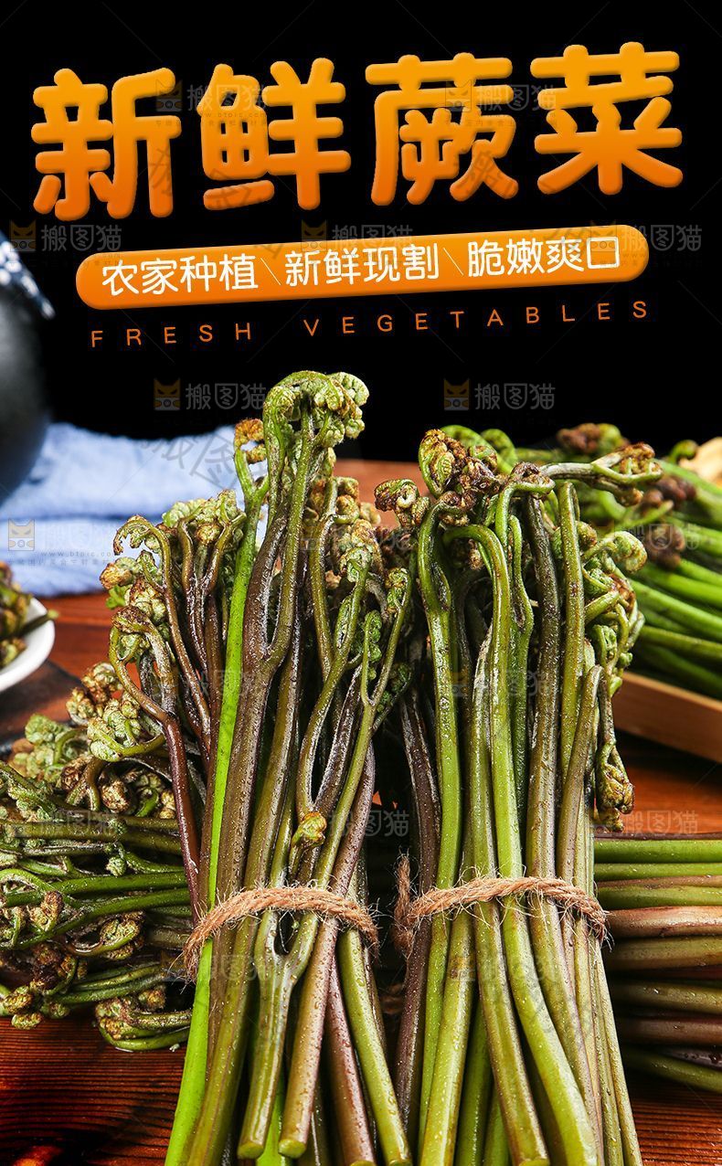 蕨菜详情页设计