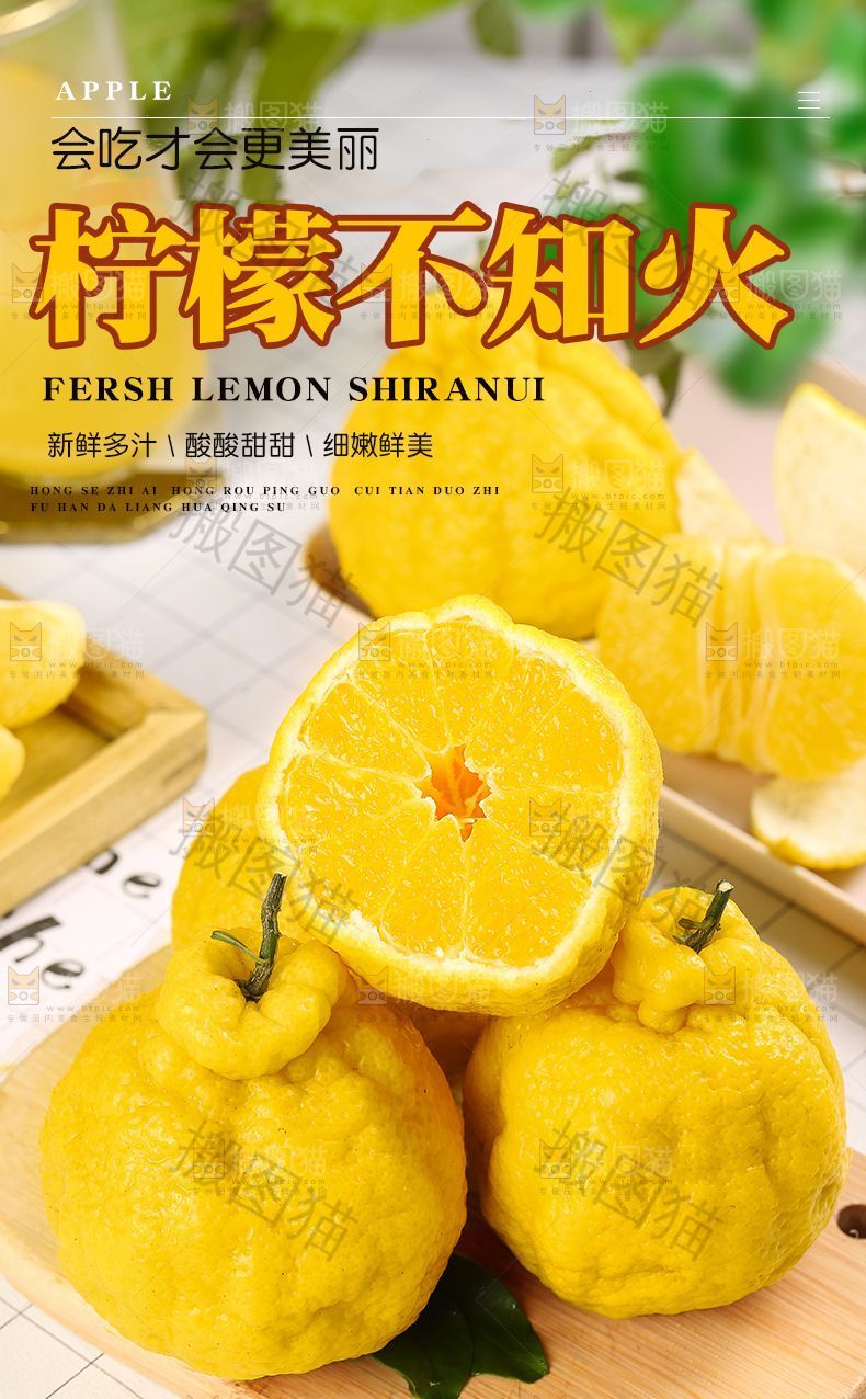 柠檬不知火详情