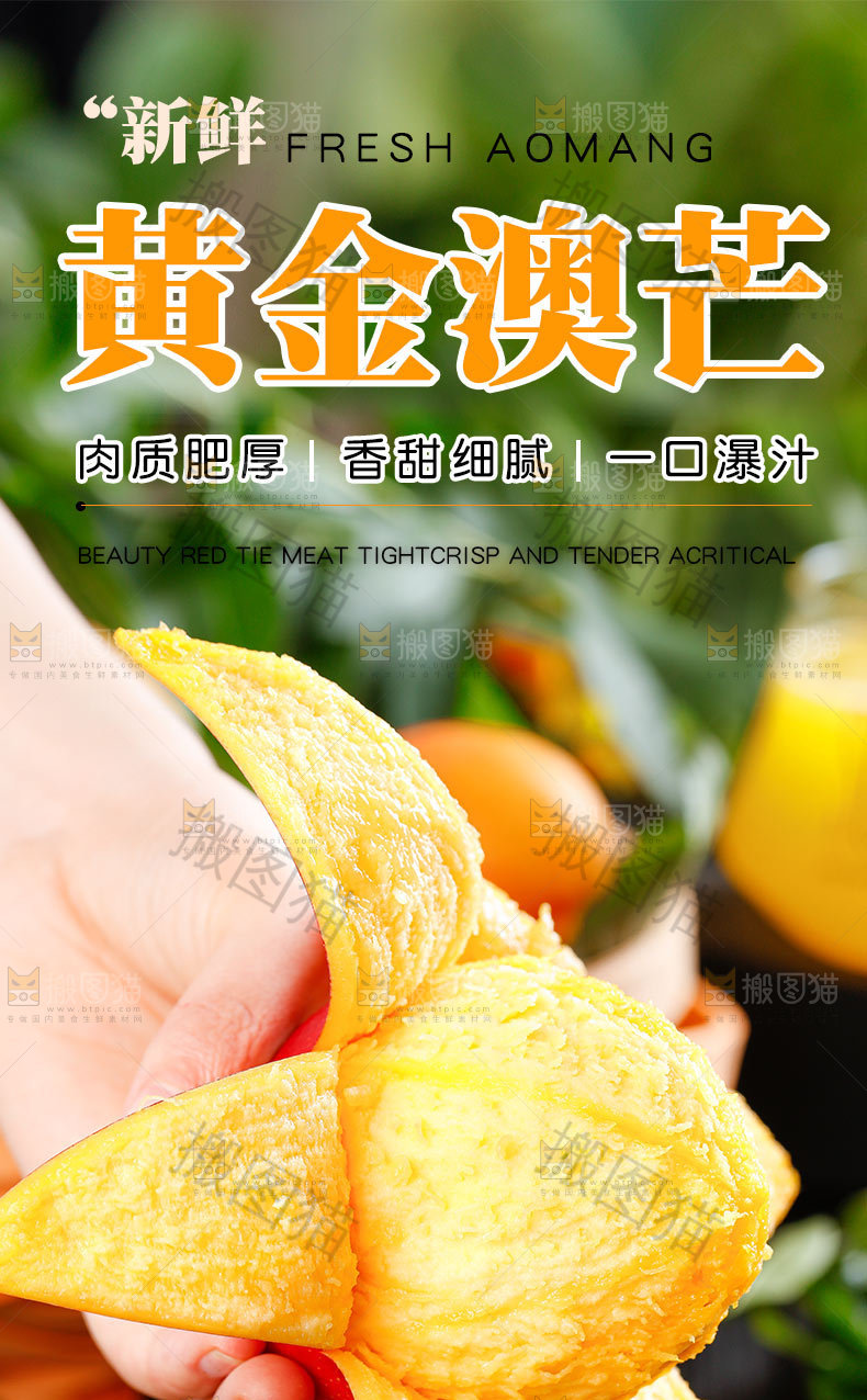 黄金澳芒详情页设计