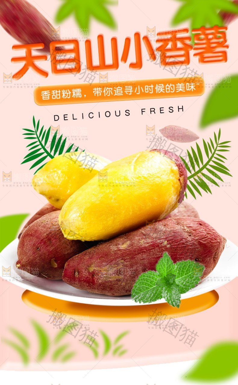 天目山小香薯详情