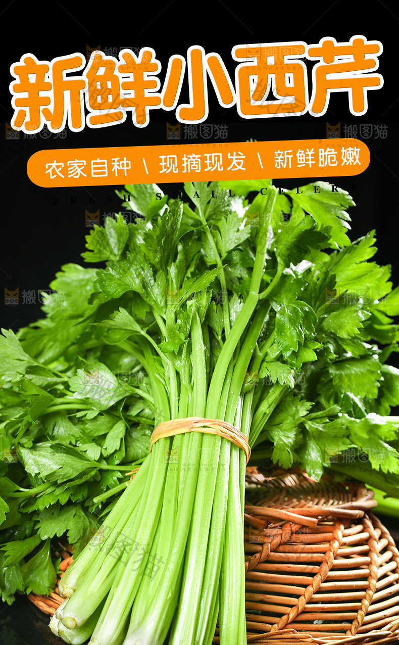 新鲜小西芹详情