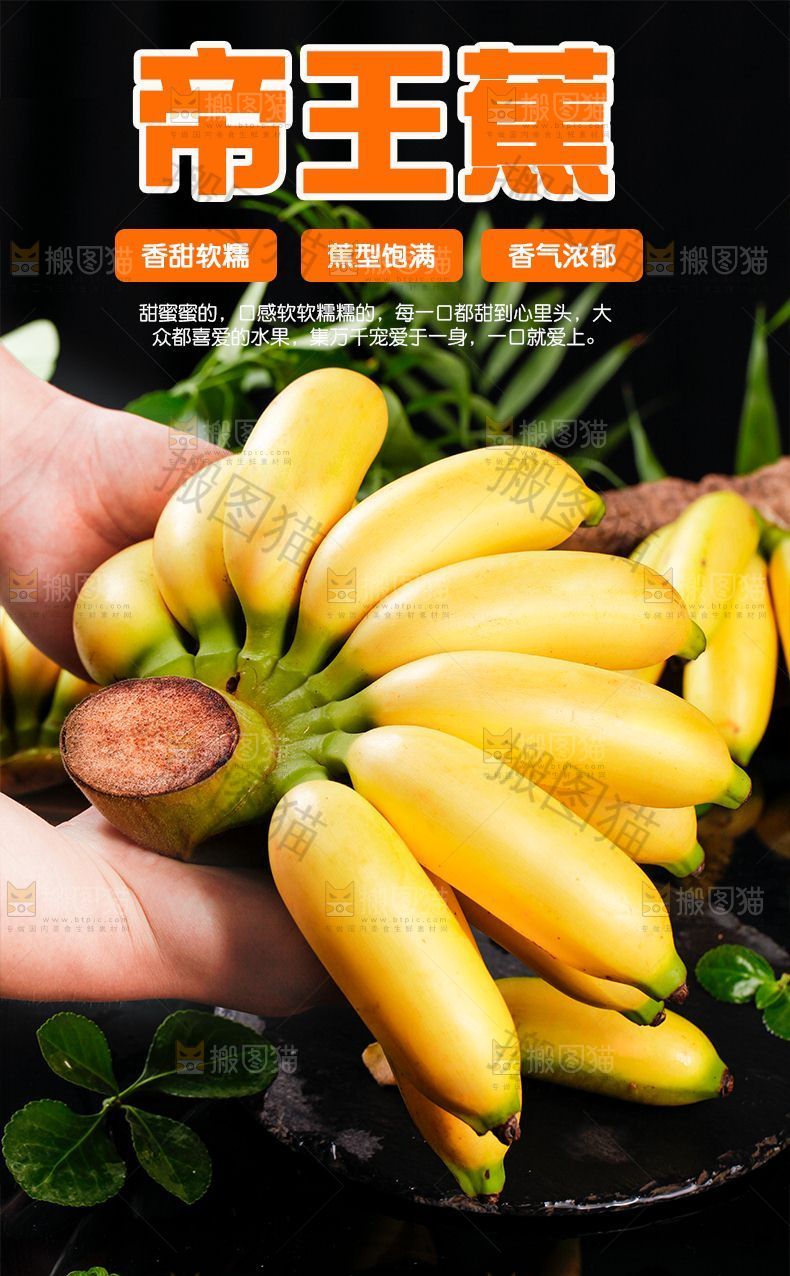 帝王蕉详情页设计