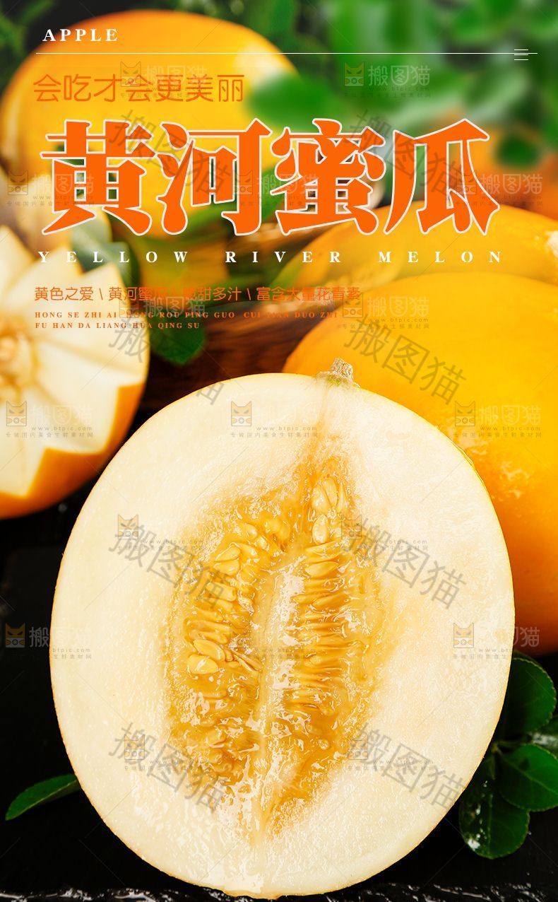 黄河蜜瓜详情页