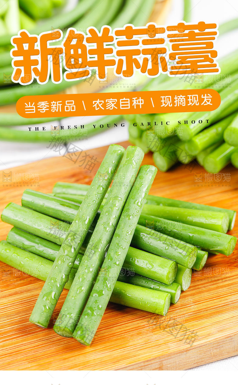 新鲜蒜薹
