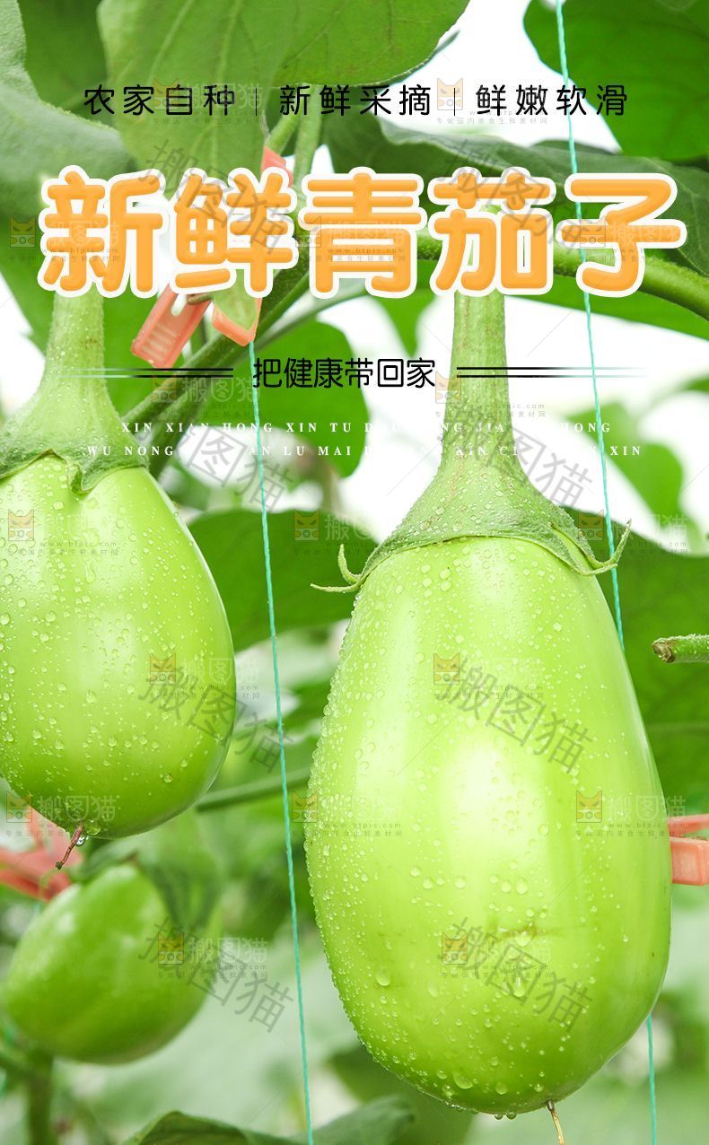 青茄子详情页设计