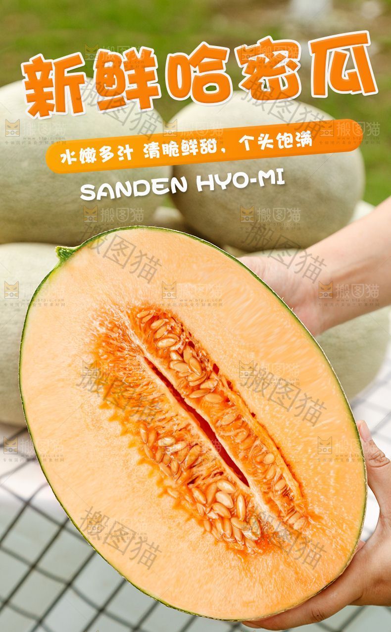 新鲜哈密瓜