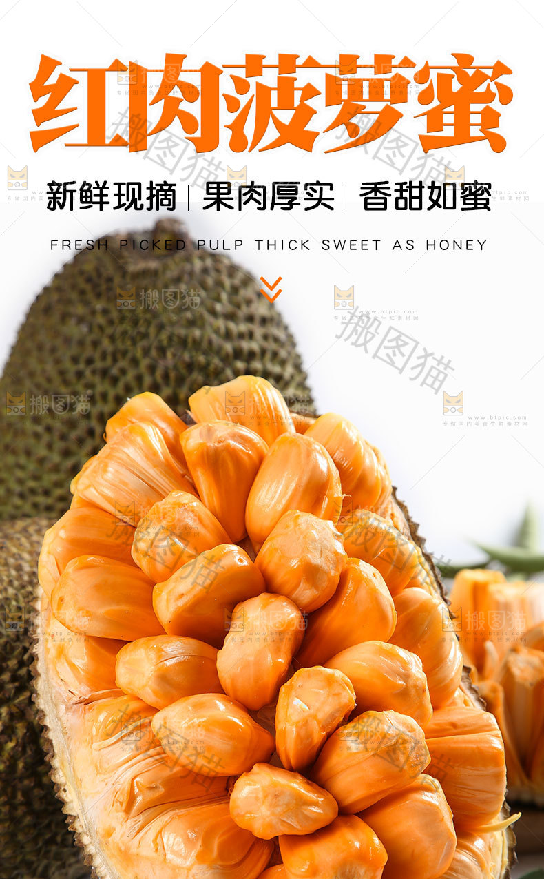 红肉菠萝蜜详情