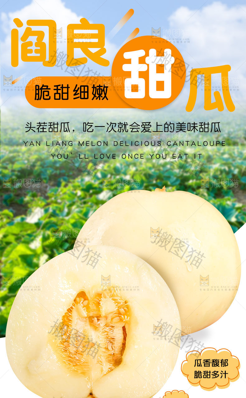 阎良甜瓜详情页