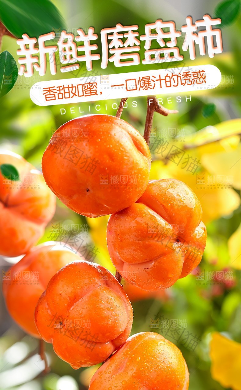 新鲜磨盘柿