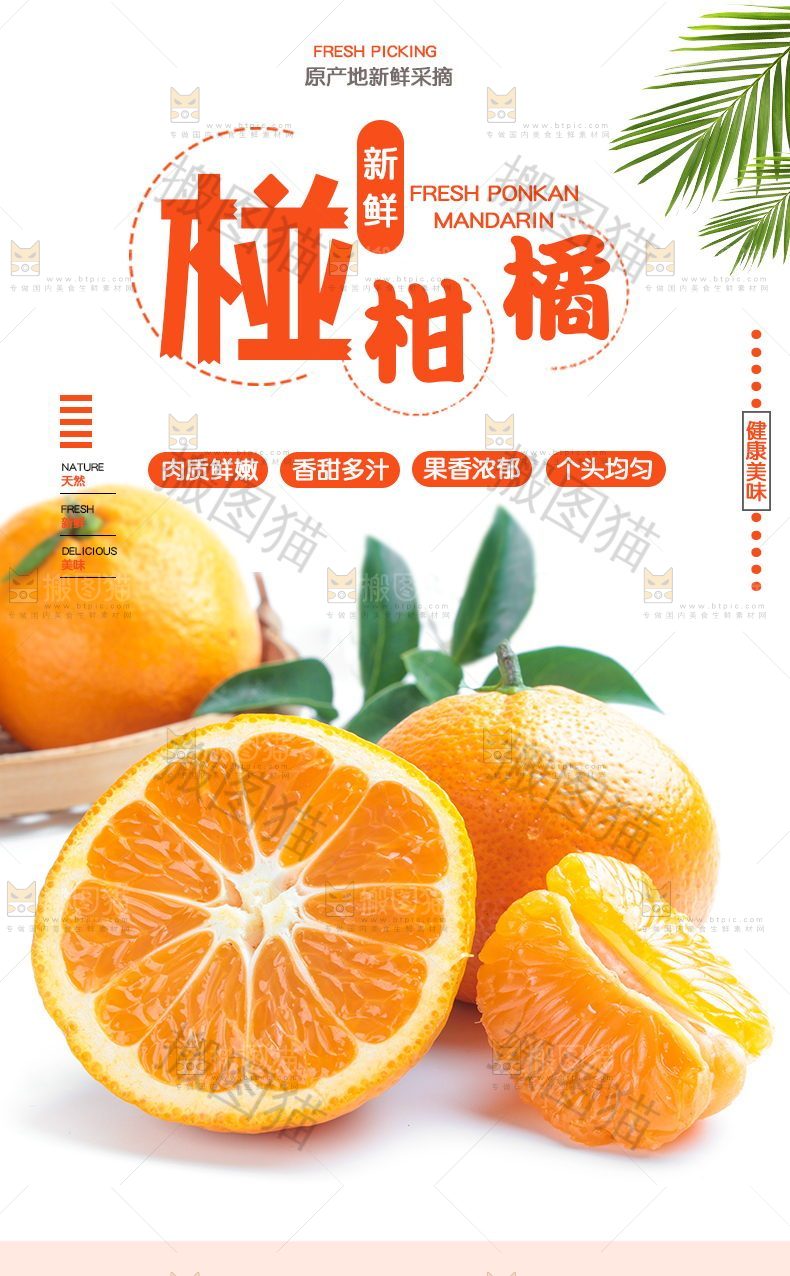 新鲜椪柑橘详情页
