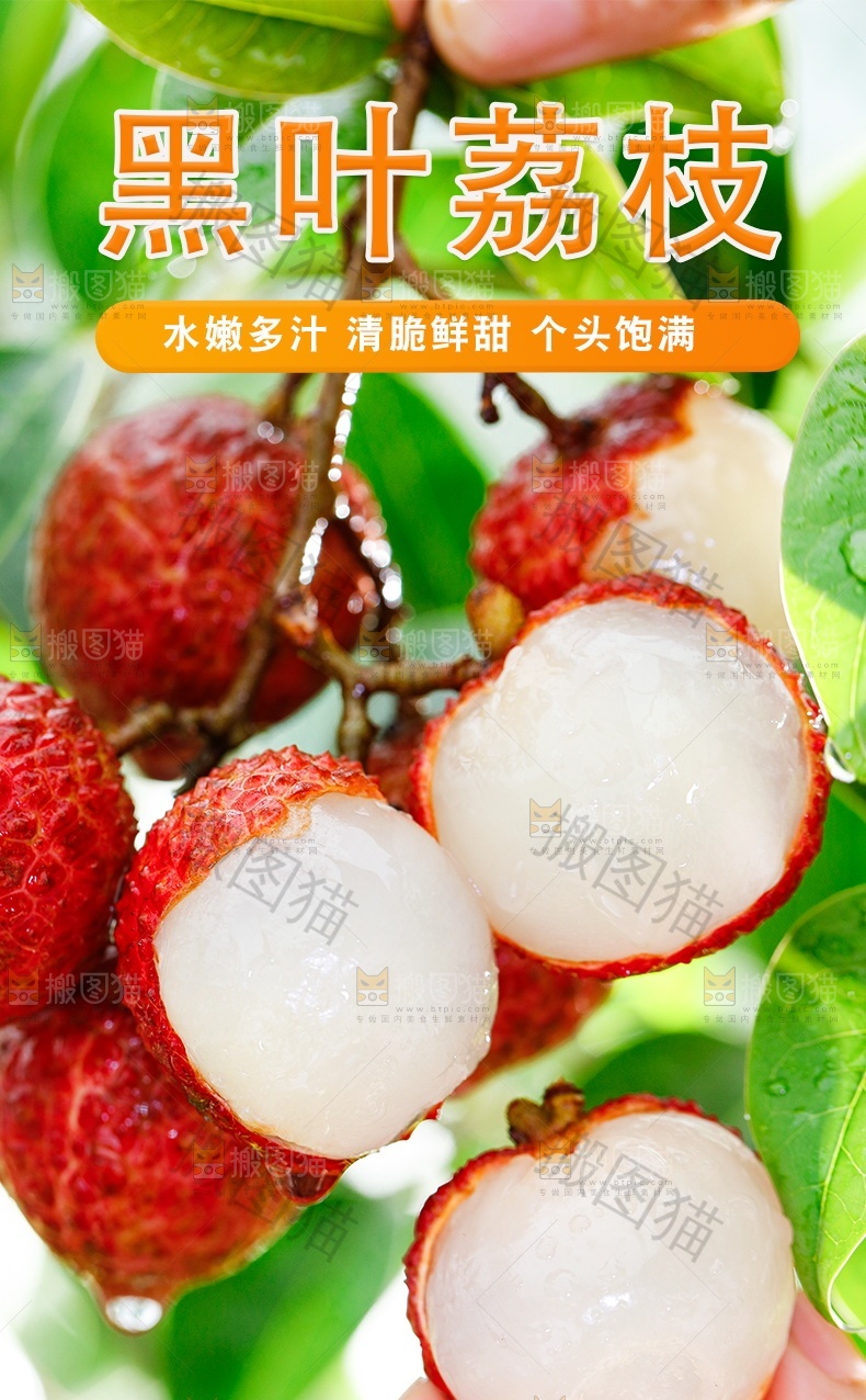 黑叶荔枝详情页设计