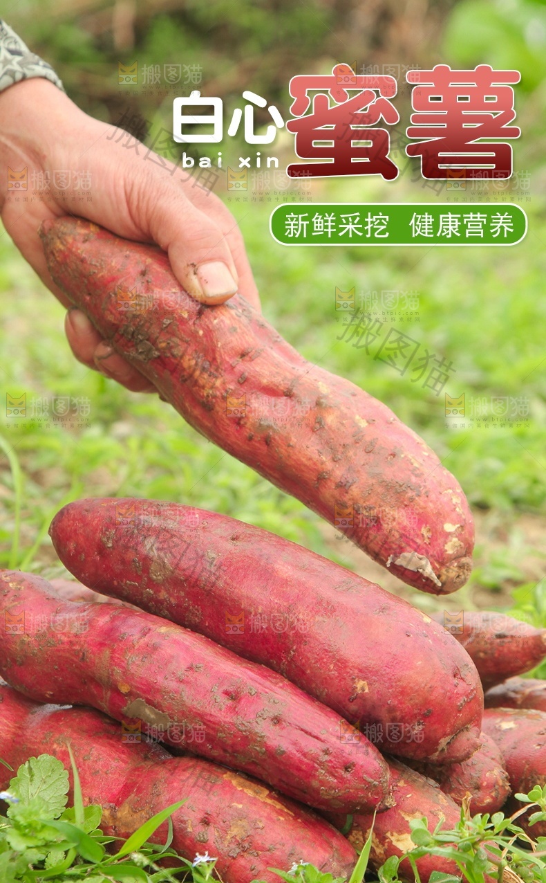 白心蜜薯详情页设计
