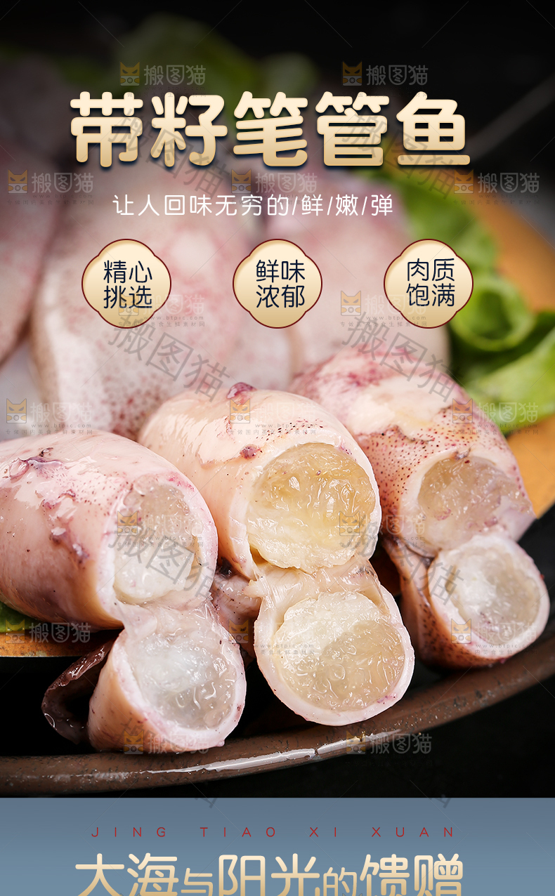 笔管鱼详情页