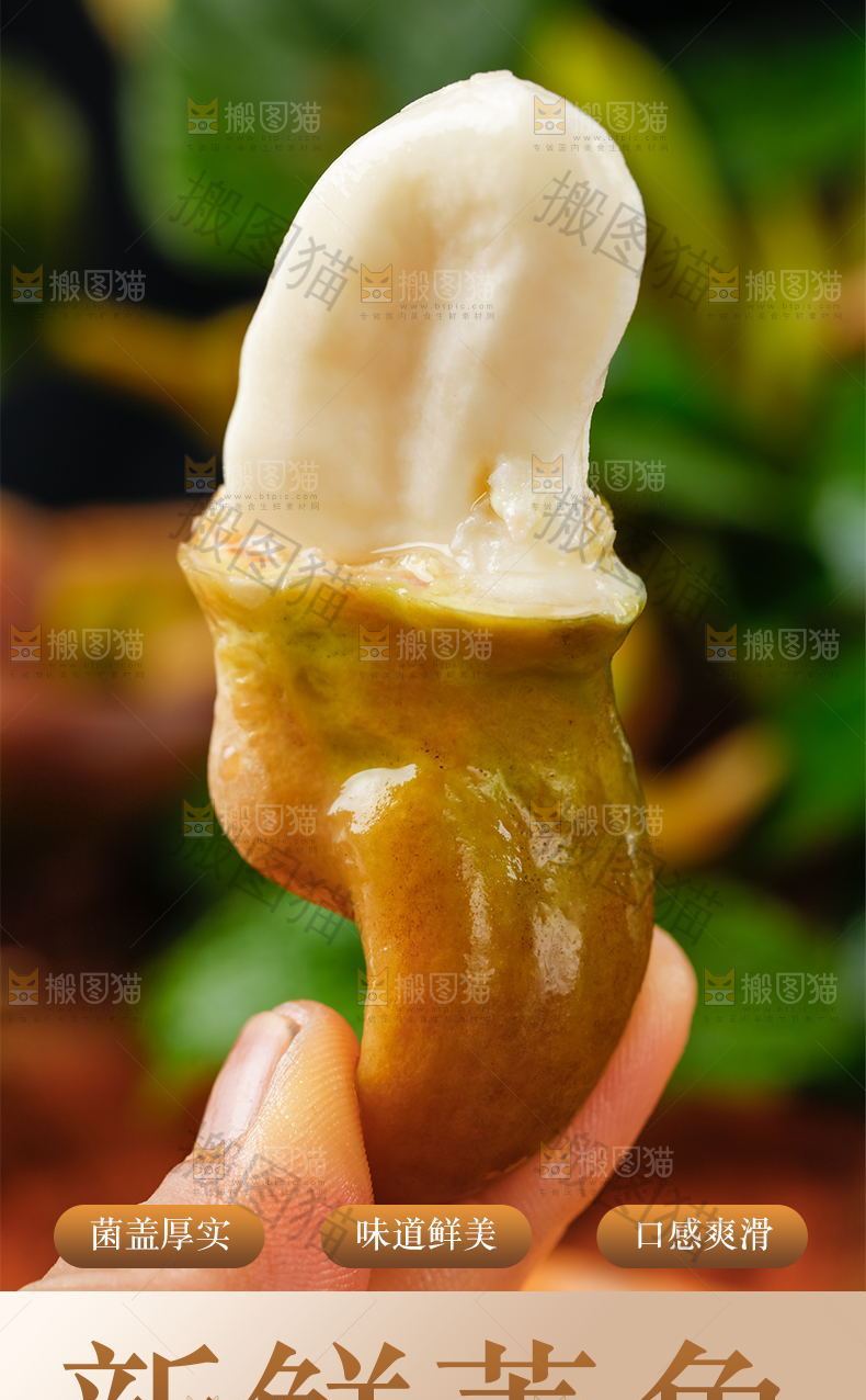 菱角详情页