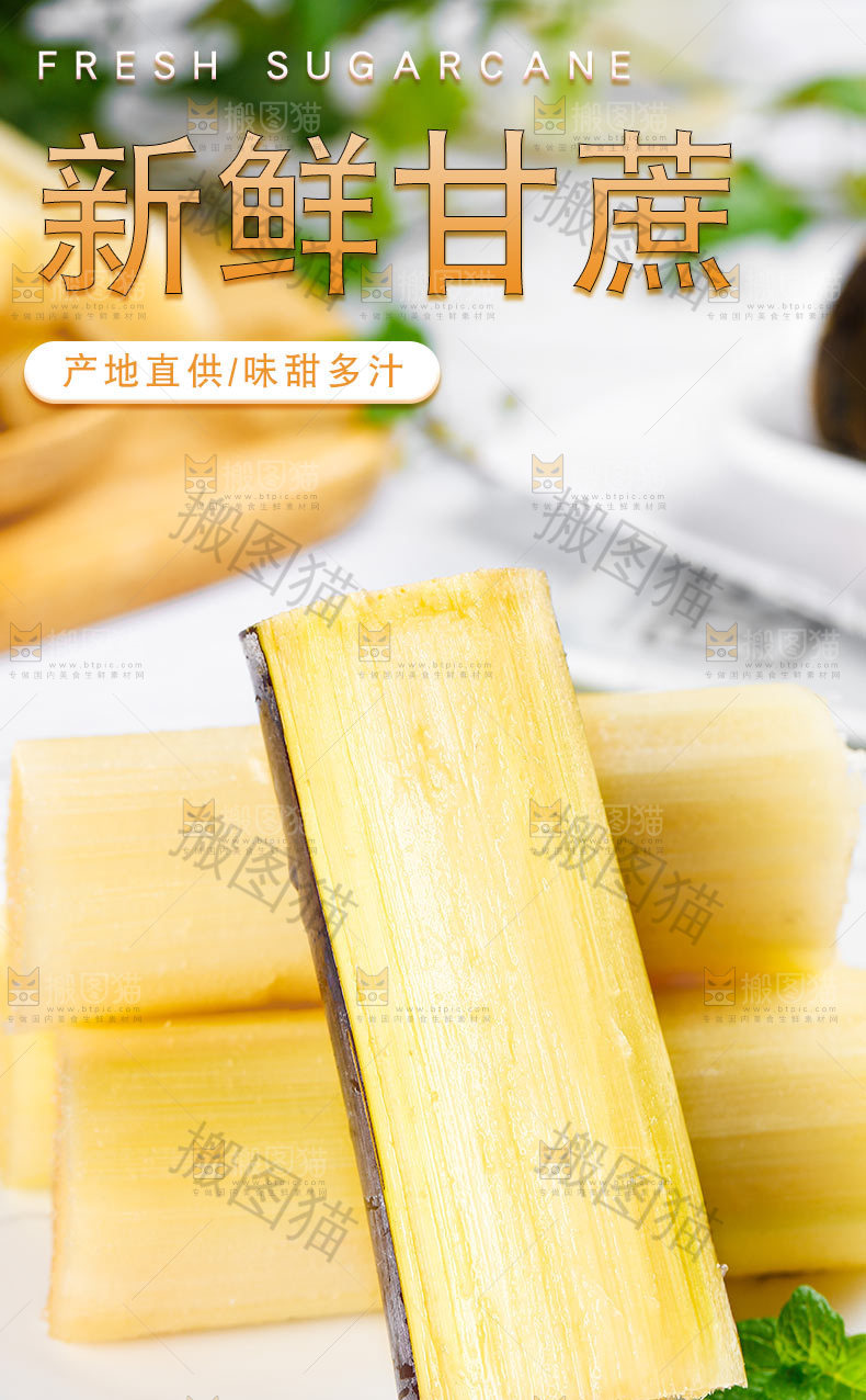 甘蔗详情页