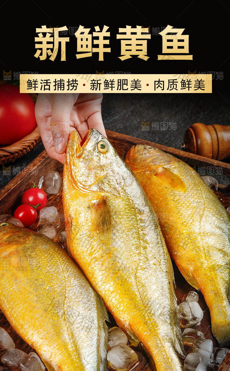 新鲜黄鱼详情页
