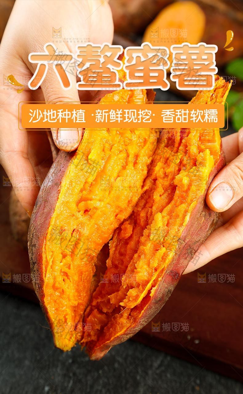 六鳌蜜薯详情