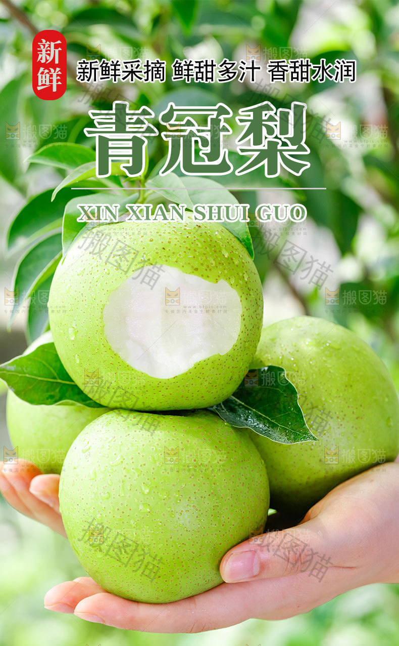 青冠梨详情页