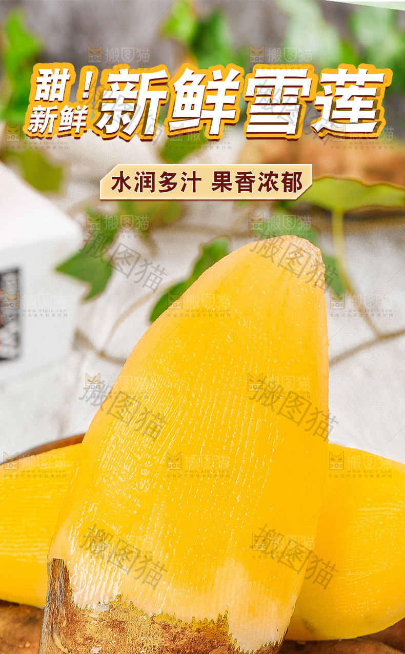 新鲜雪莲果详情页