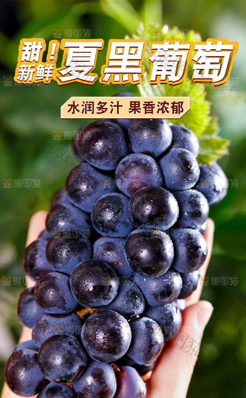 夏黑葡萄详情页